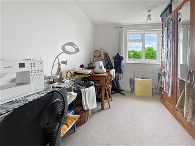 Picture 23
